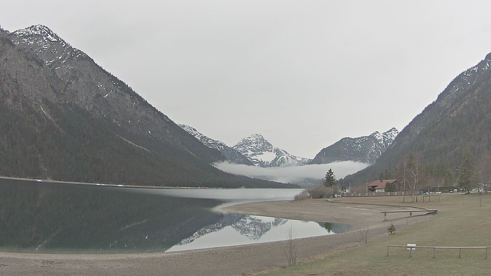 Archiv Foto Webcam Plansee: Sennalpe