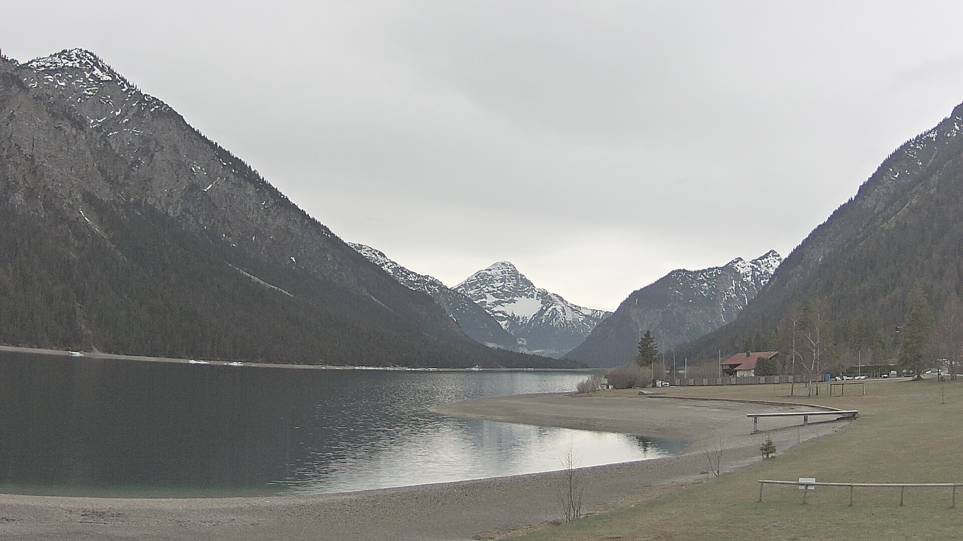 Archiv Foto Webcam Plansee: Sennalpe