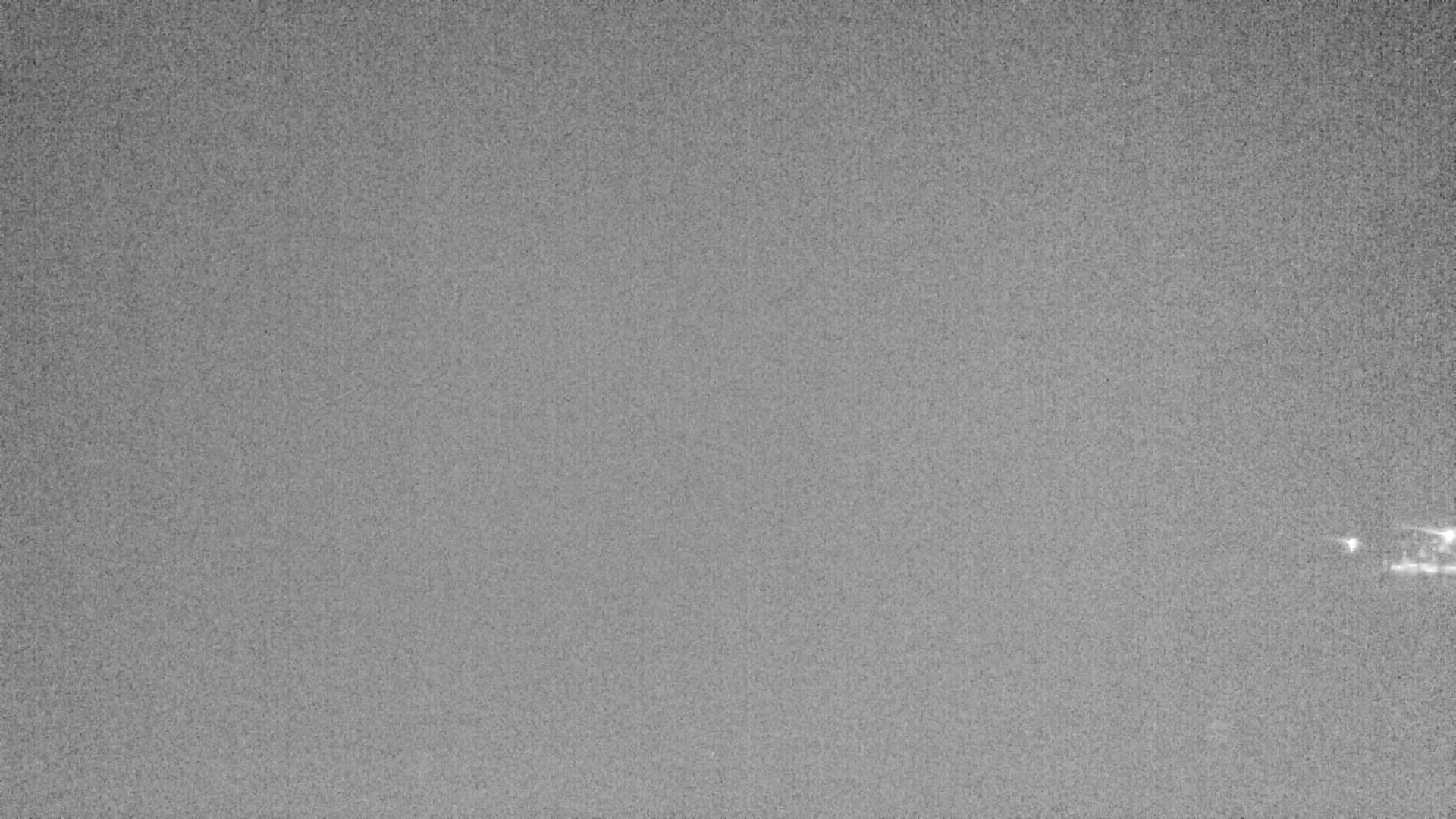 Archiv Foto Webcam Plansee: Sennalpe