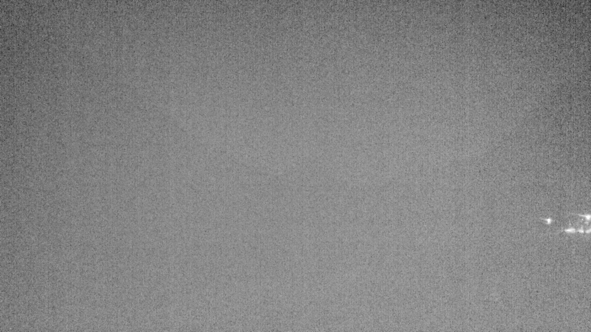 Archiv Foto Webcam Plansee: Sennalpe