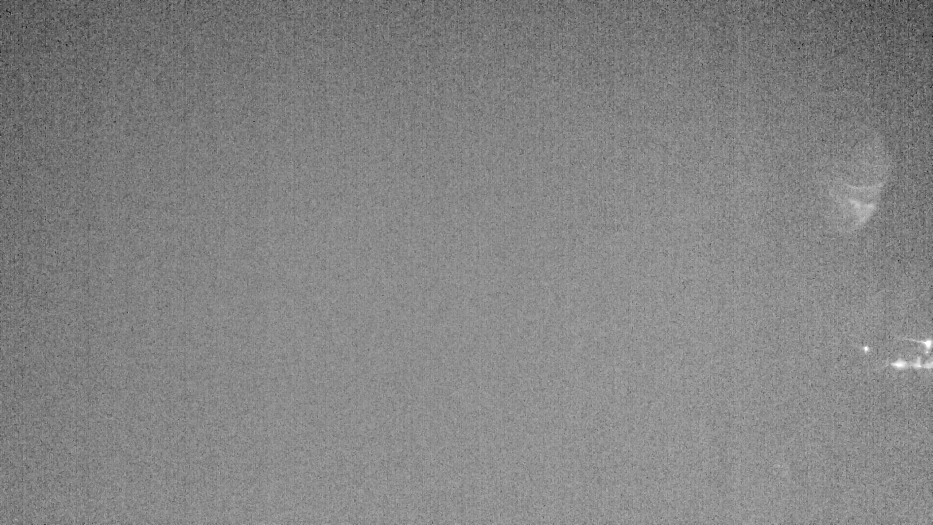 Archiv Foto Webcam Plansee: Sennalpe
