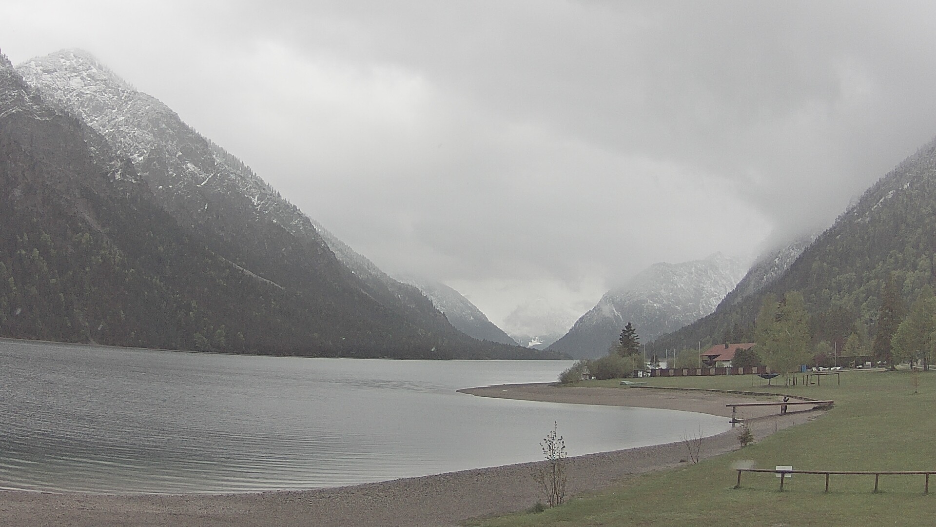 Archiv Foto Webcam Plansee: Sennalpe