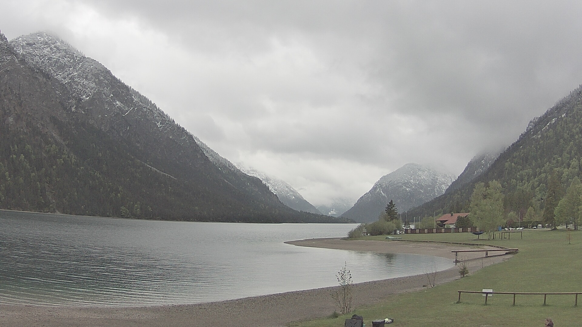 Archiv Foto Webcam Plansee: Sennalpe