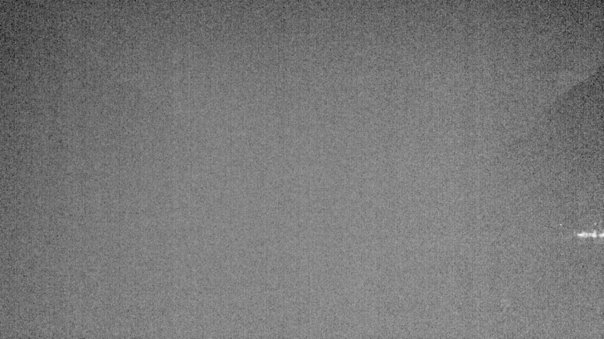 Archived image Webcam Lake Plansee near Reutte
