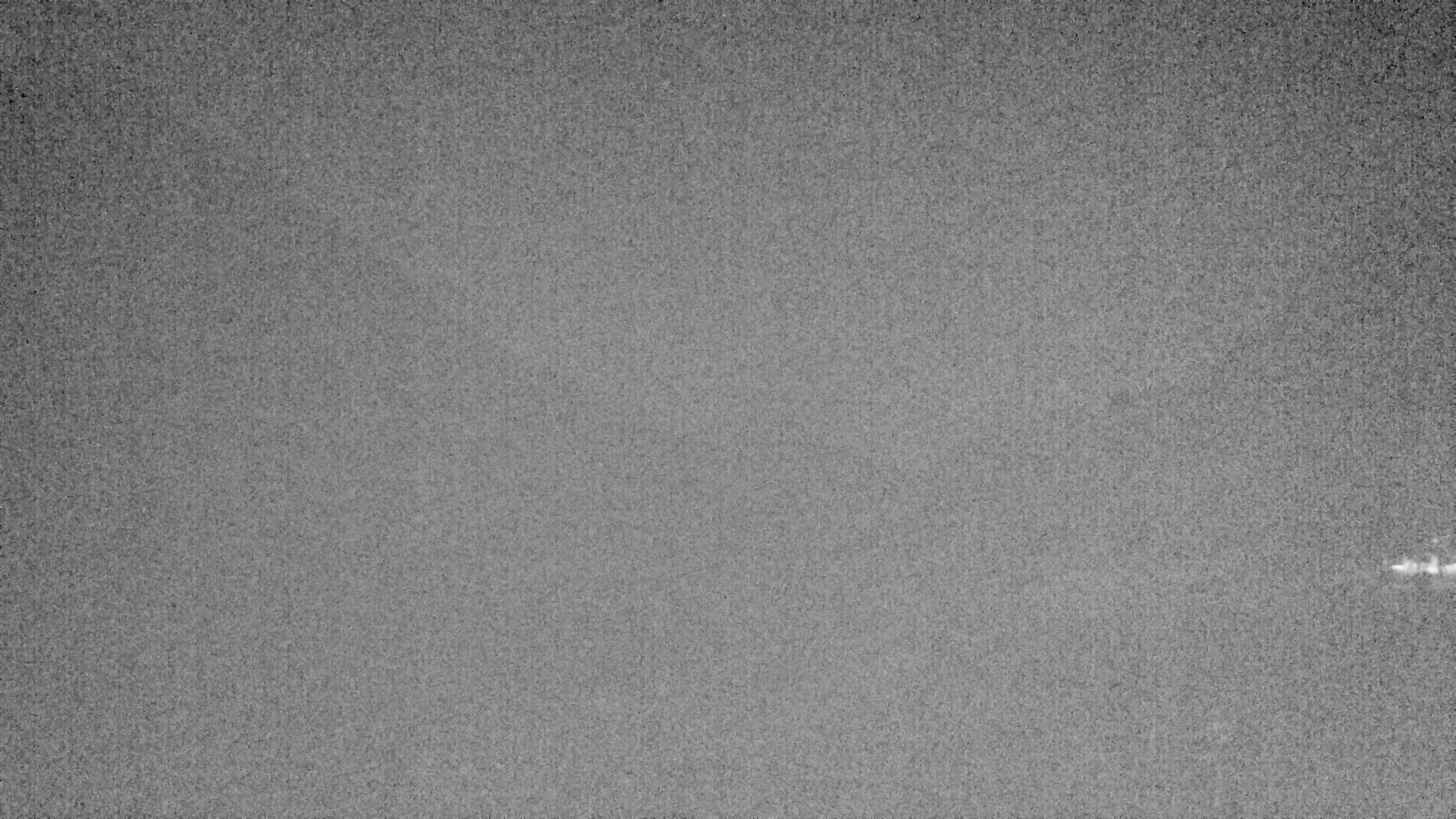 Archived image Webcam Lake Plansee near Reutte