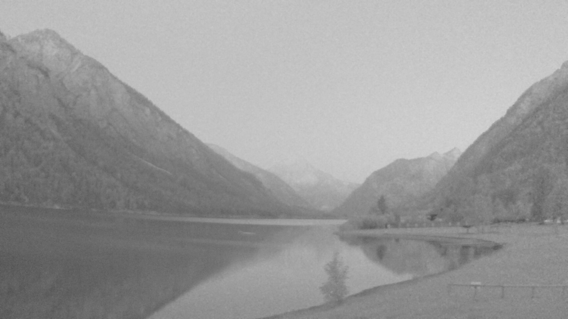 Archiv Foto Webcam Plansee: Sennalpe
