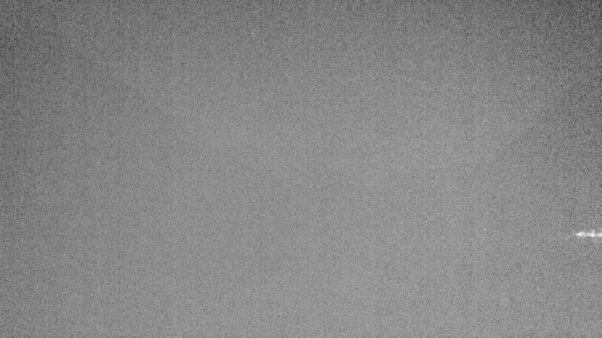 Archiv Foto Webcam Plansee: Sennalpe