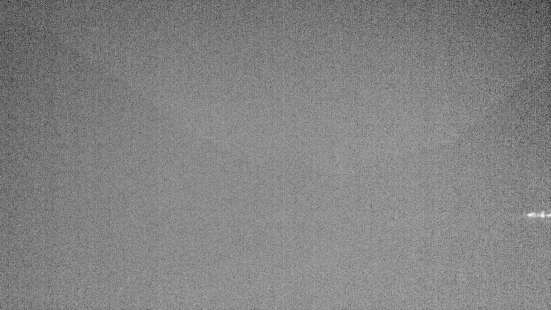Archived image Webcam Lake Plansee near Reutte