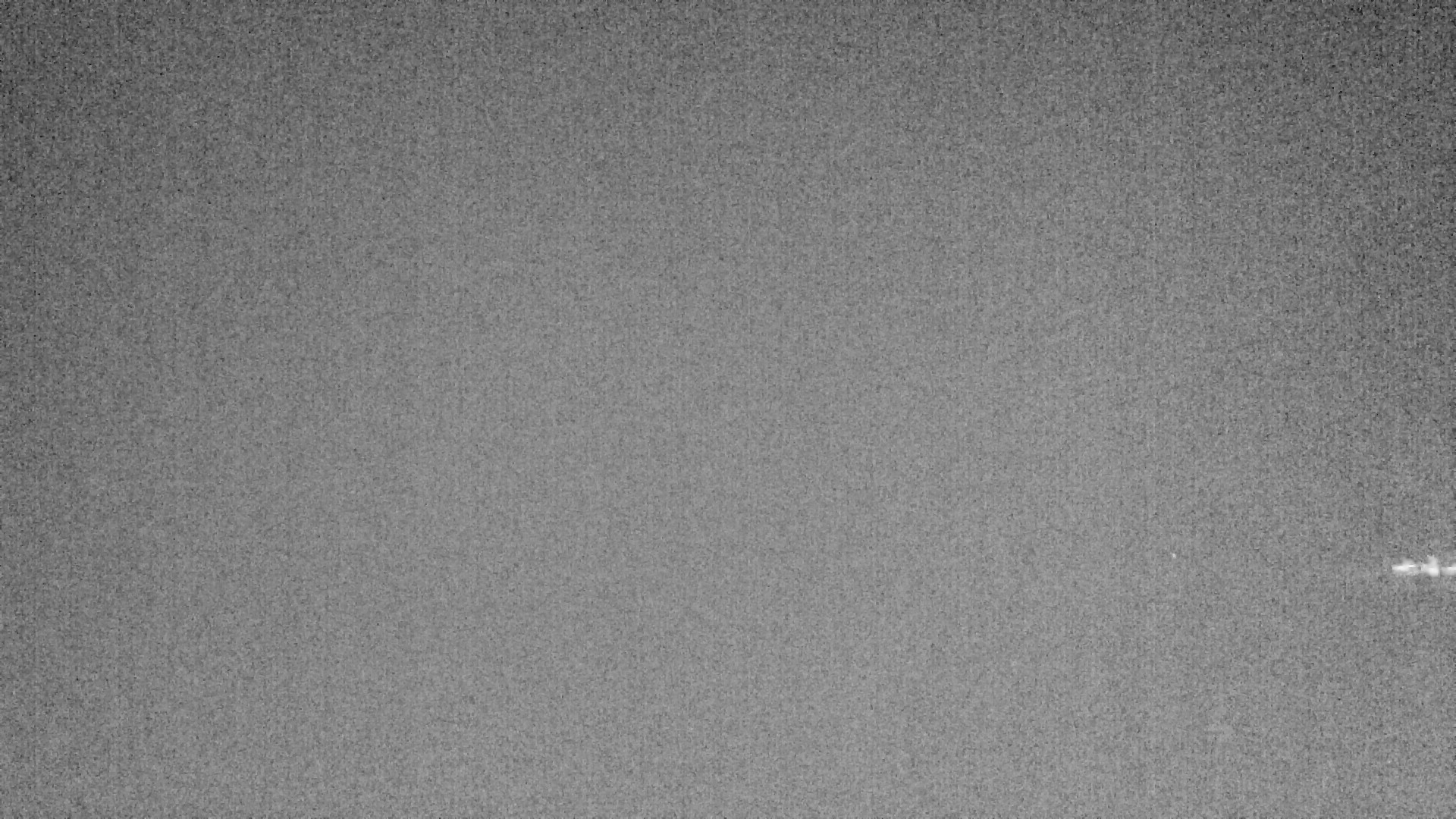 Archived image Webcam Lake Plansee near Reutte