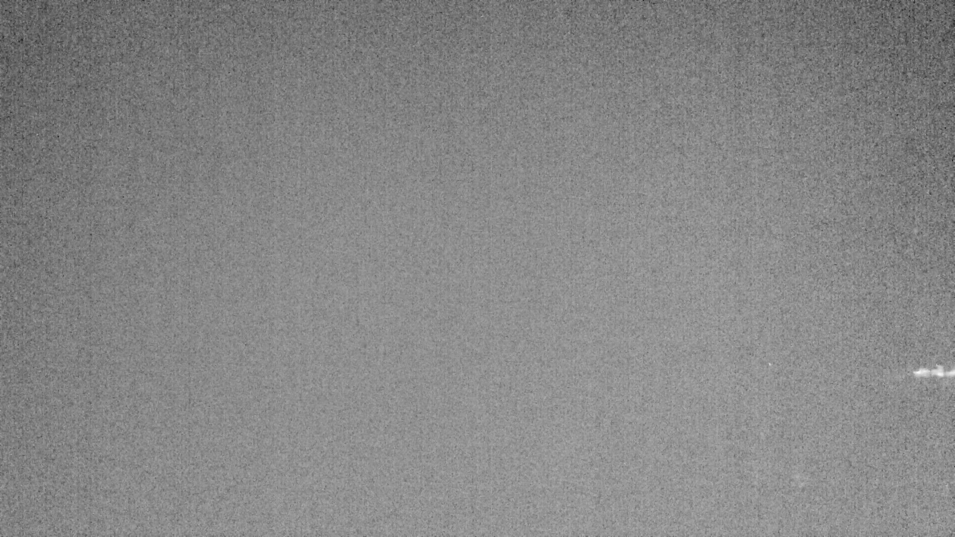 Archived image Webcam Lake Plansee near Reutte