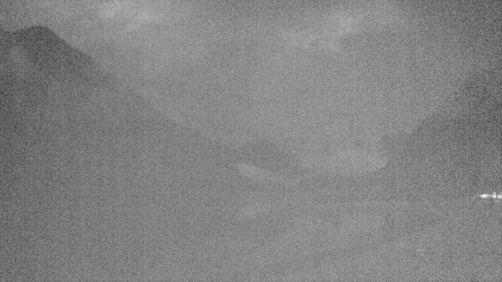 Archiv Foto Webcam Plansee: Sennalpe
