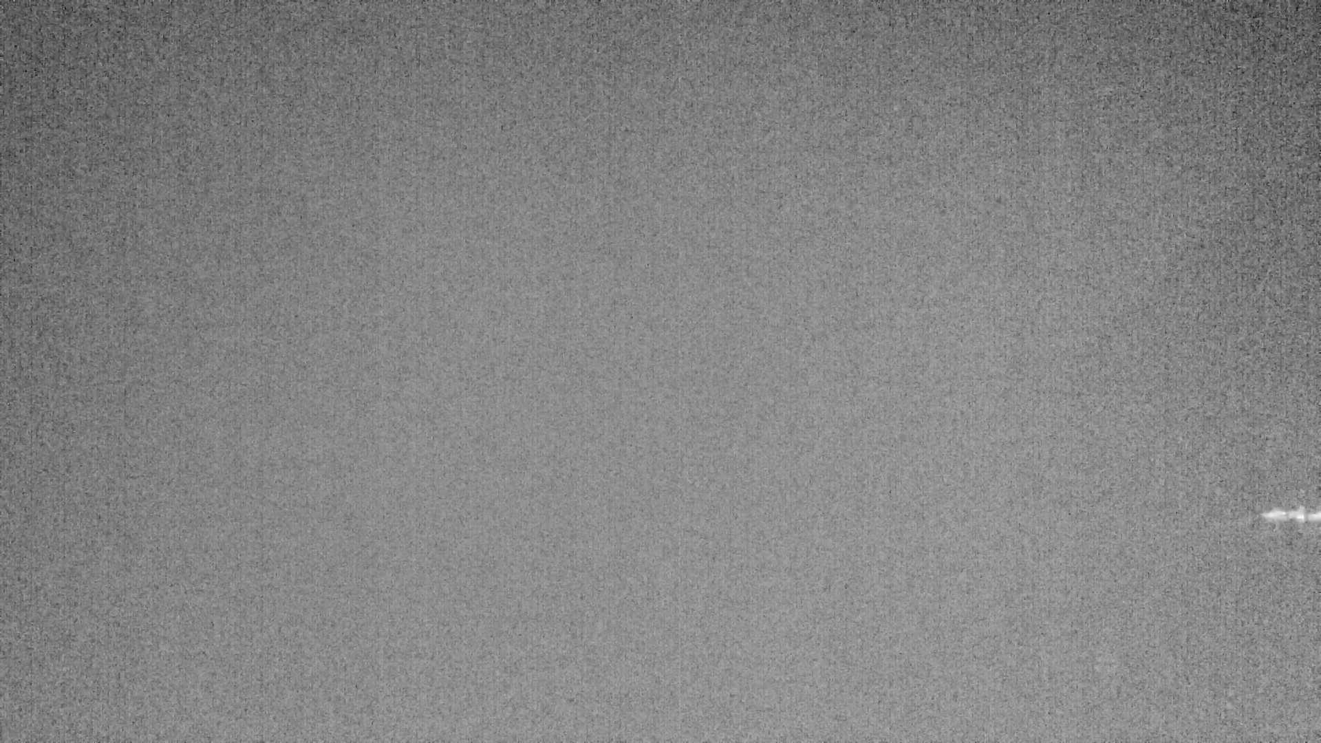 Archiv Foto Webcam Plansee: Sennalpe