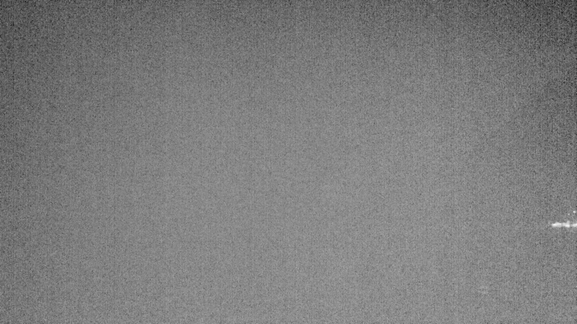 Archived image Webcam Lake Plansee near Reutte