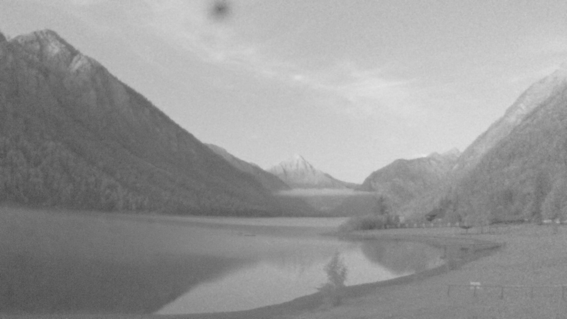Archiv Foto Webcam Plansee: Sennalpe