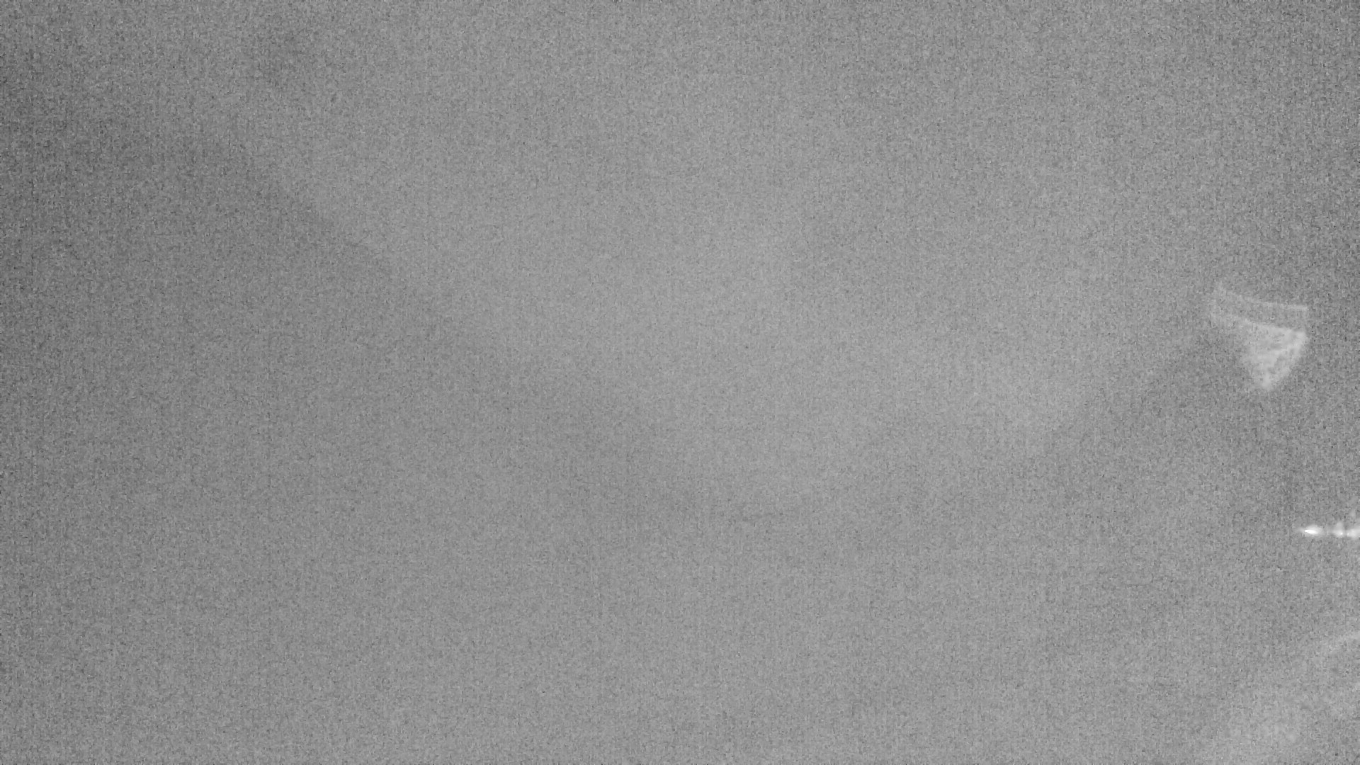 Archived image Webcam Lake Plansee near Reutte