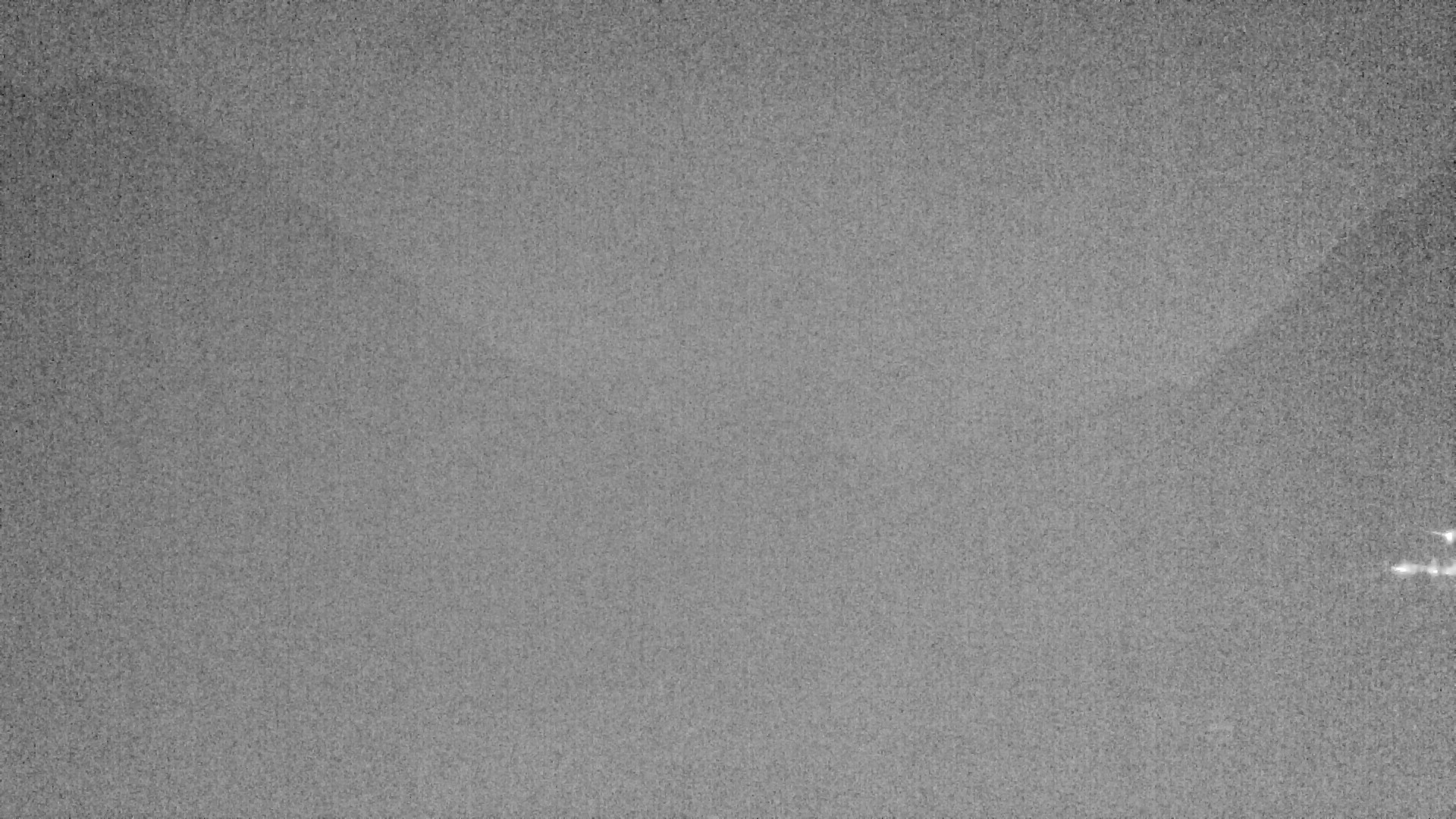 Archiv Foto Webcam Plansee: Sennalpe