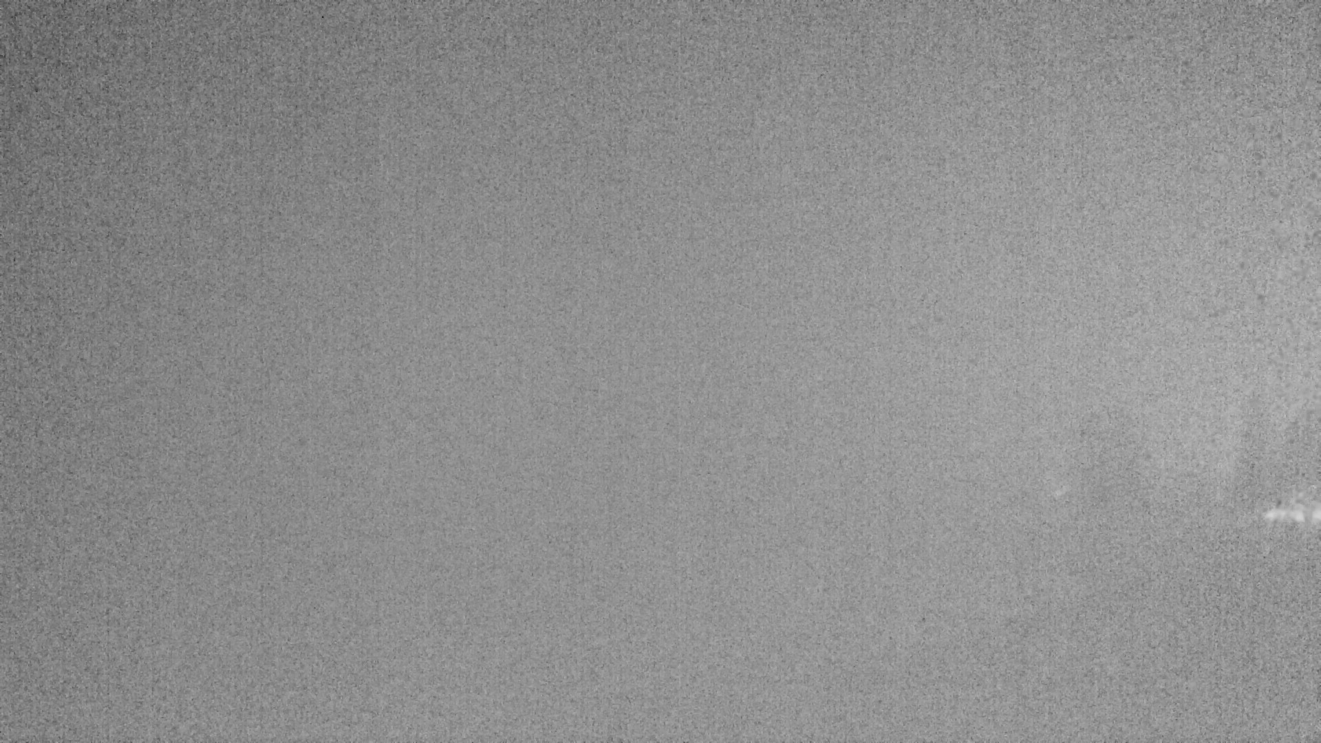 Archiv Foto Webcam Plansee: Sennalpe