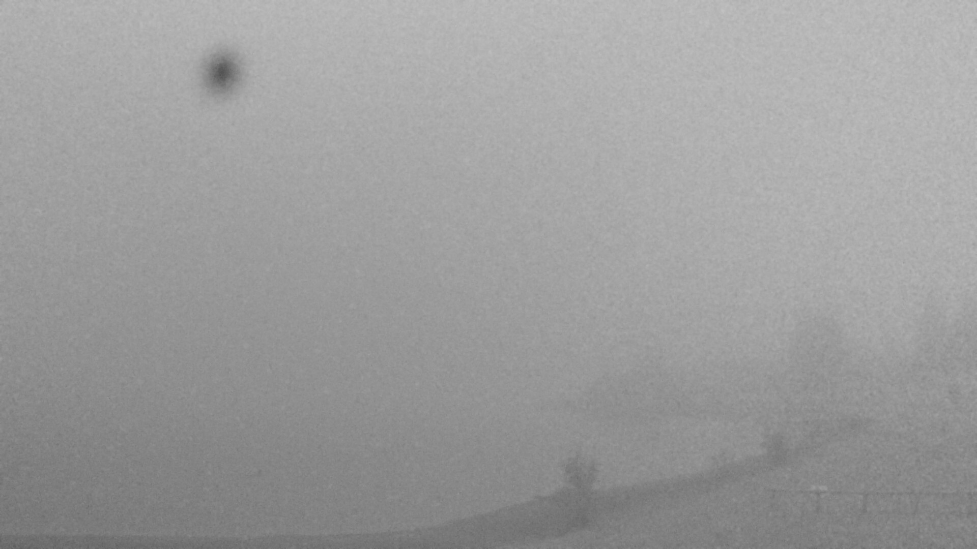 Archiv Foto Webcam Plansee: Sennalpe