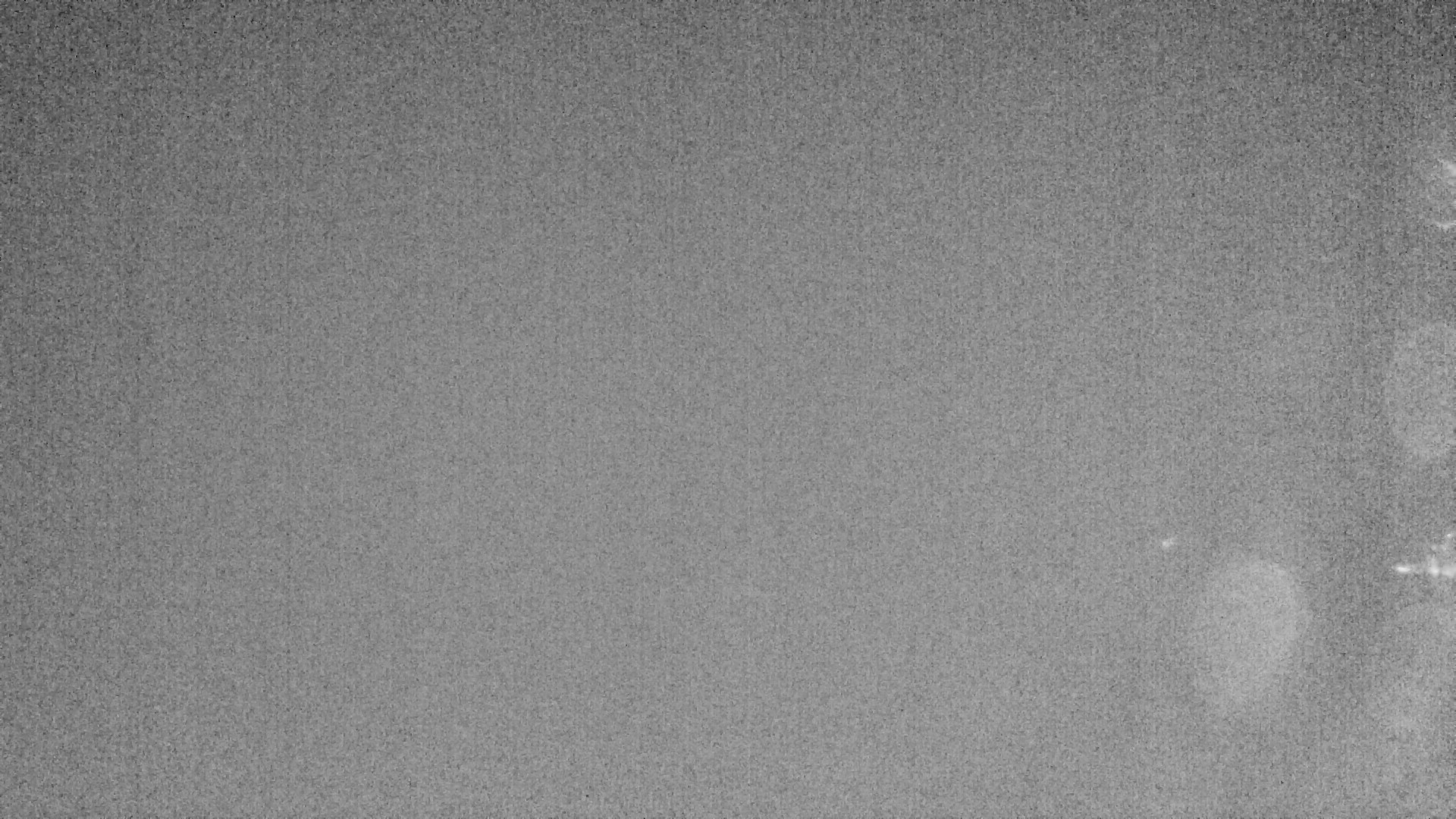 Archiv Foto Webcam Plansee: Sennalpe