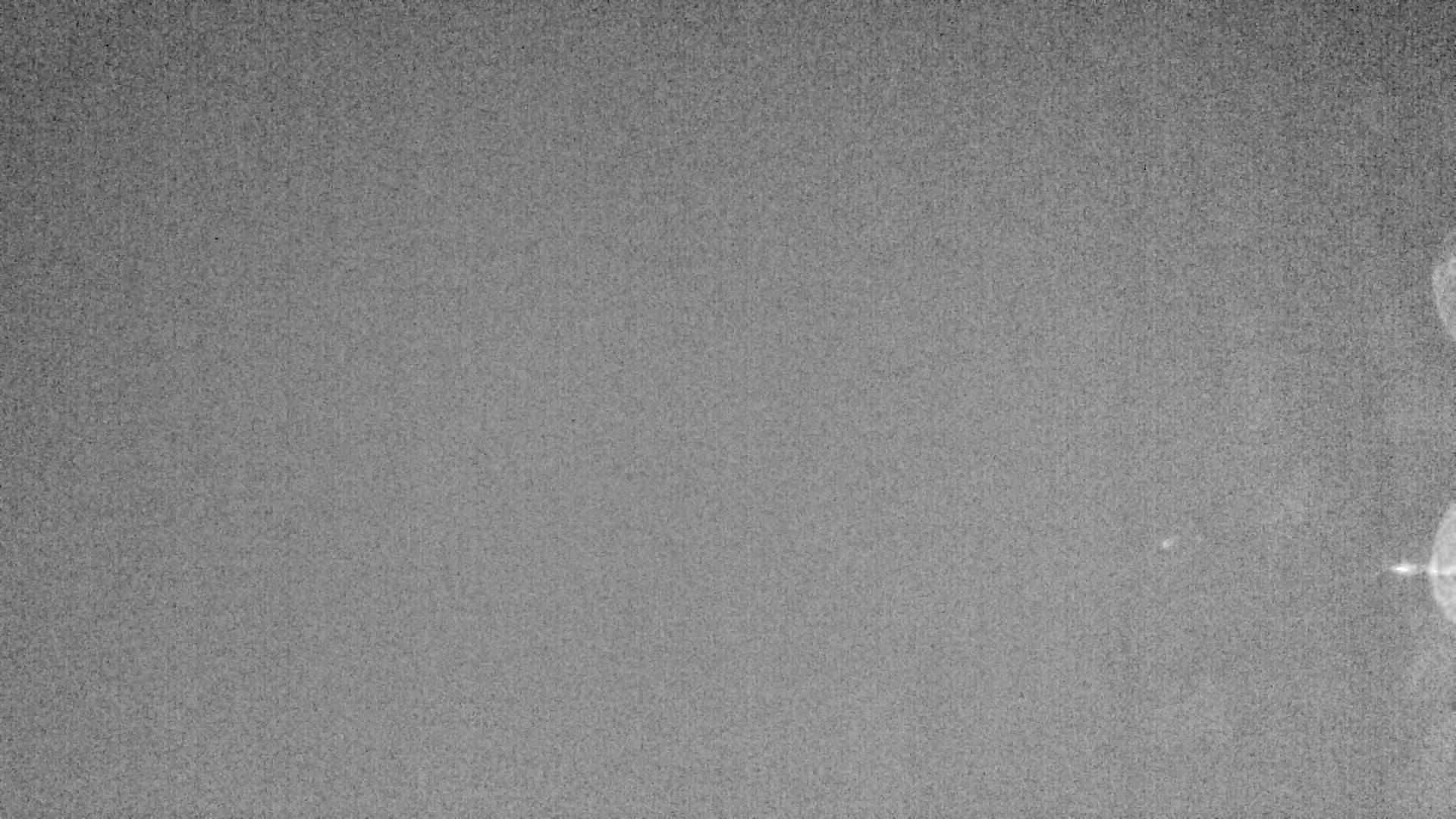 Archiv Foto Webcam Plansee: Sennalpe
