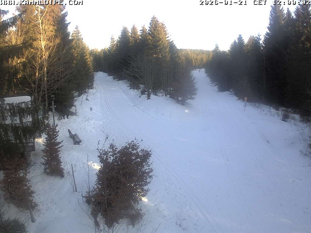 Archiv Foto Webcam Schutzhütte Teichhäusel