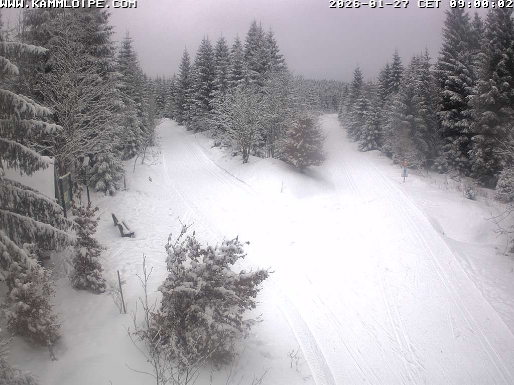 Archiv Foto Webcam Schutzhütte Teichhäusel