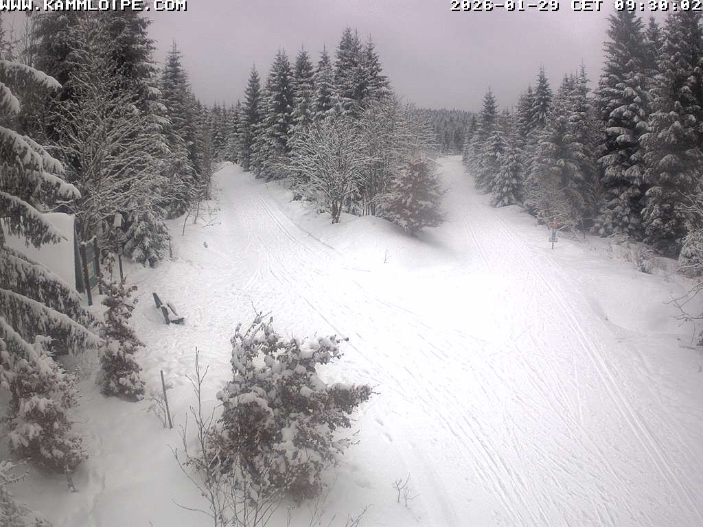 Archiv Foto Webcam Schutzhütte Teichhäusel