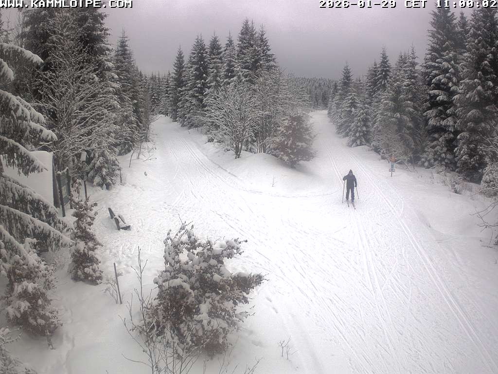 Archiv Foto Webcam Schutzhütte Teichhäusel
