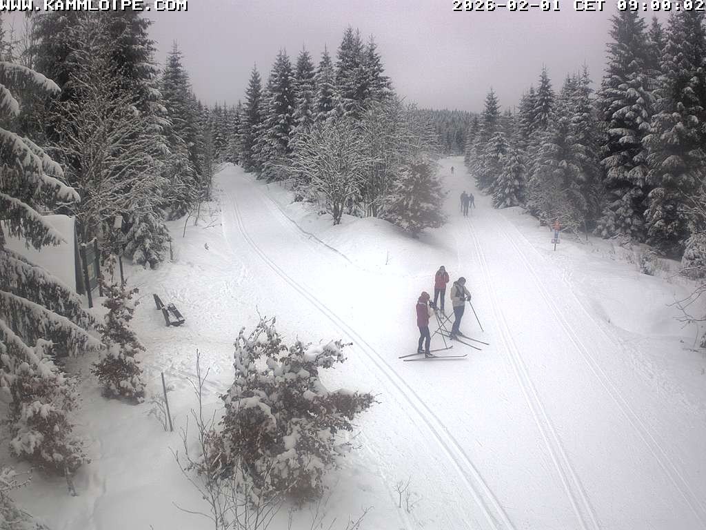 Archiv Foto Webcam Schutzhütte Teichhäusel