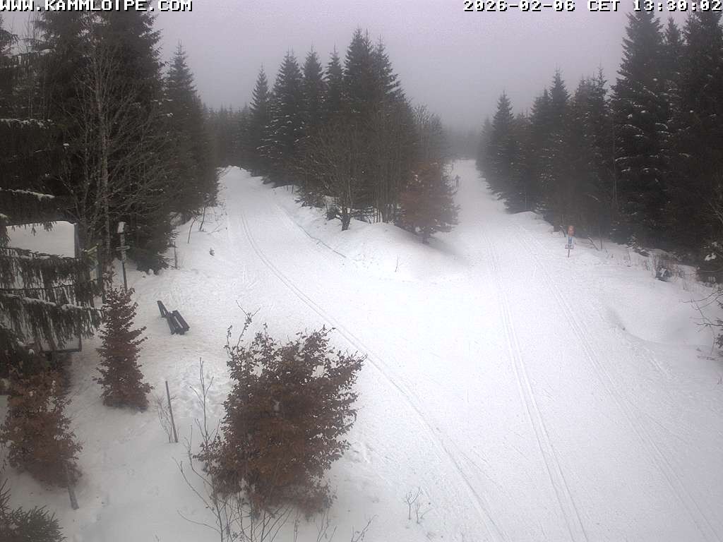 Archiv Foto Webcam Schutzhütte Teichhäusel