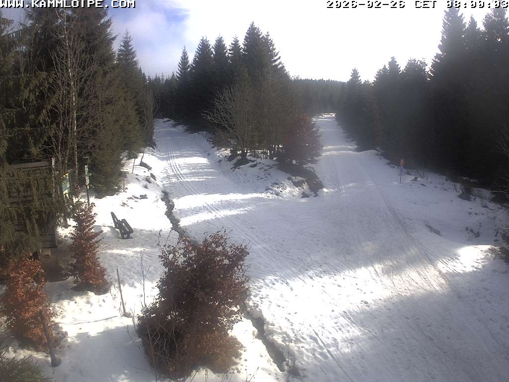 Archived image Webcam Teichhäusel Carlsfeld