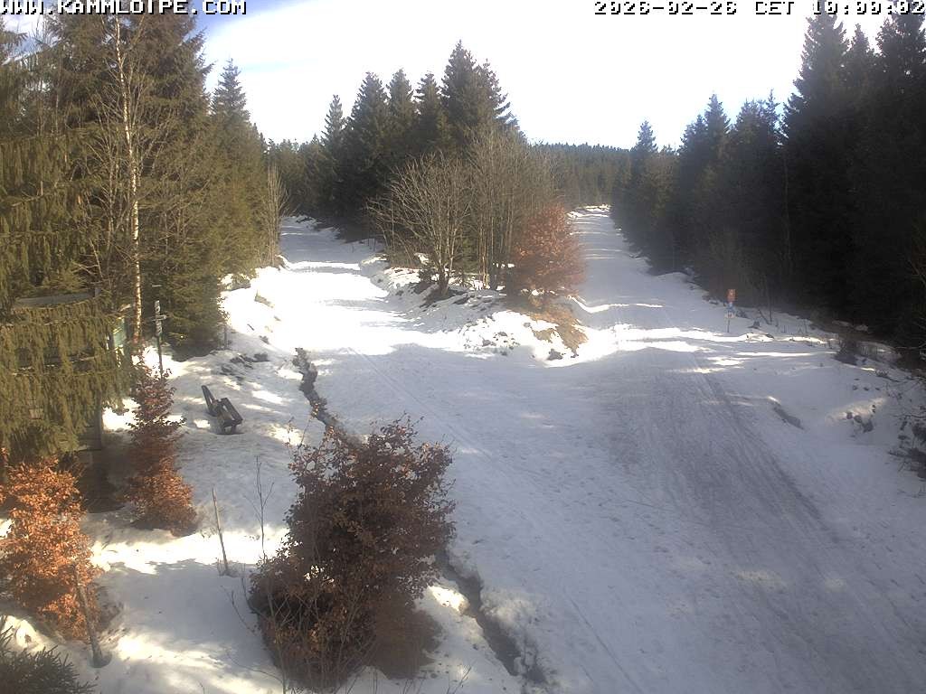 Archived image Webcam Teichhäusel Carlsfeld