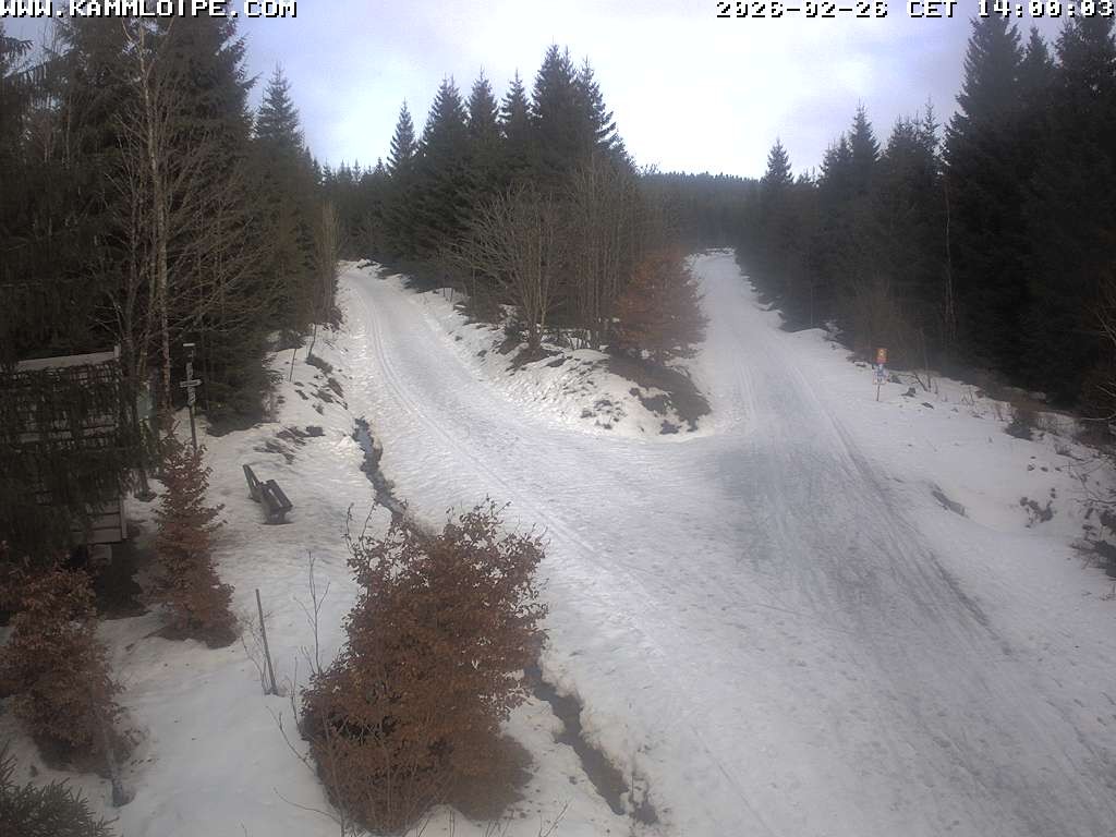 Archived image Webcam Teichhäusel Carlsfeld