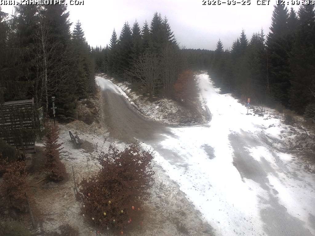 Archiv Foto Webcam Schutzhütte Teichhäusel