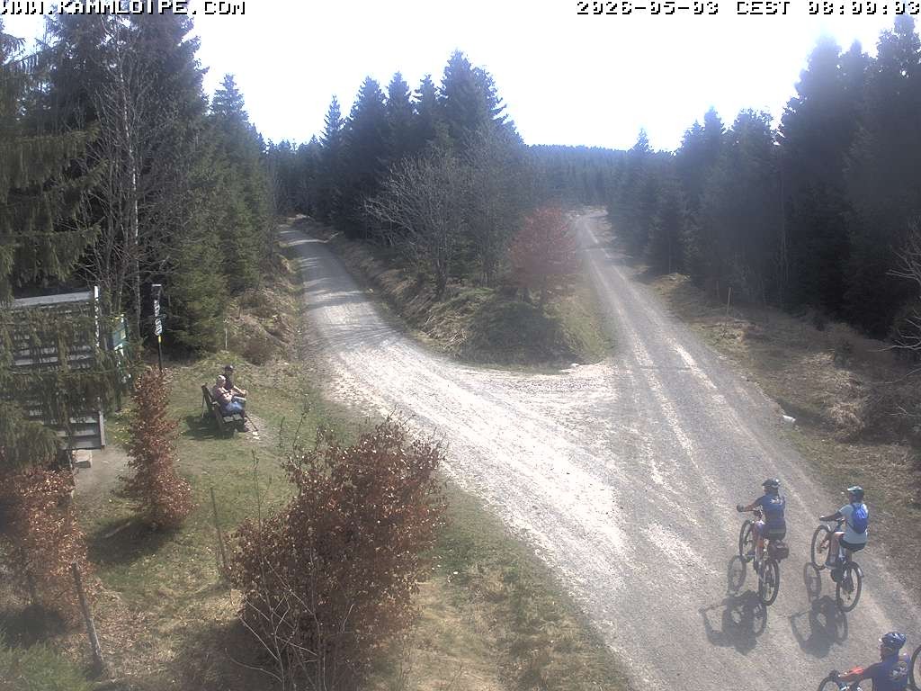 Archived image Webcam Teichhäusel Carlsfeld