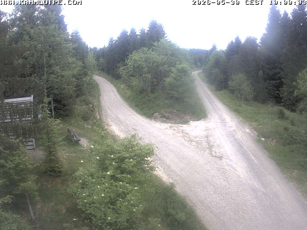Archived image Webcam Teichhäusel Carlsfeld