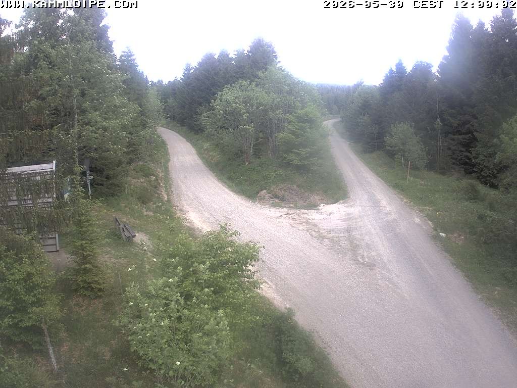Archived image Webcam Teichhäusel Carlsfeld