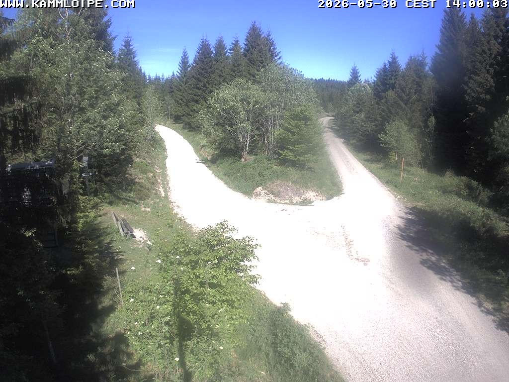 Archived image Webcam Teichhäusel Carlsfeld