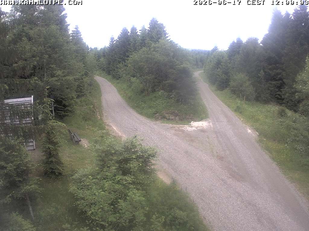 Archiv Foto Webcam Schutzhütte Teichhäusel