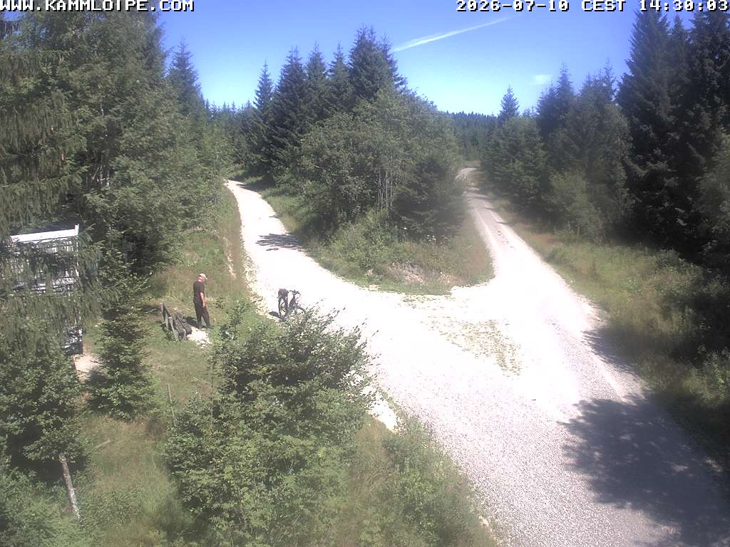 Archiv Foto Webcam Schutzhütte Teichhäusel