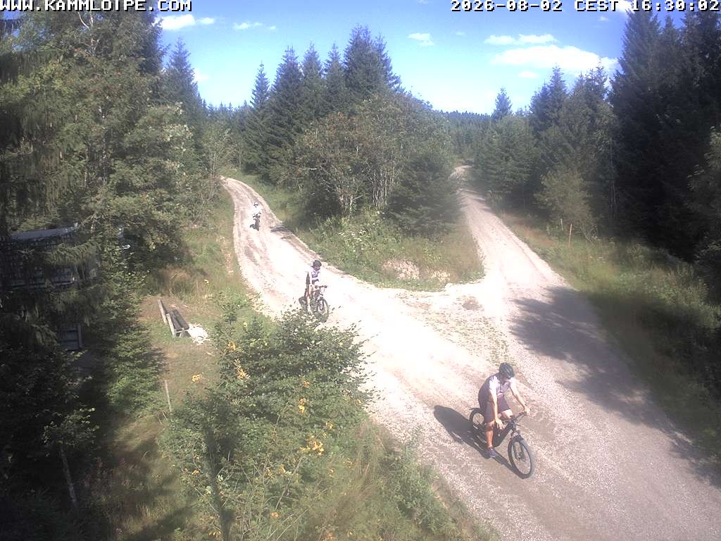 Archiv Foto Webcam Schutzhütte Teichhäusel