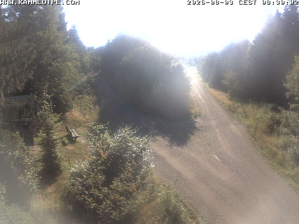 Archived image Webcam Teichhäusel Carlsfeld