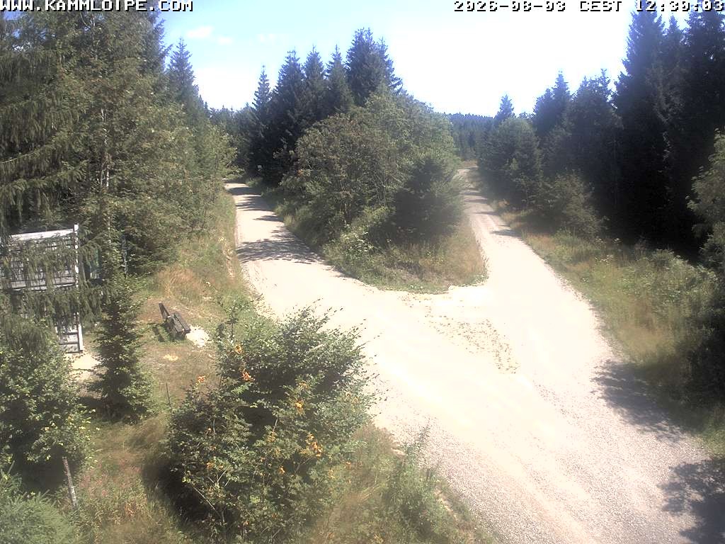 Archived image Webcam Teichhäusel Carlsfeld