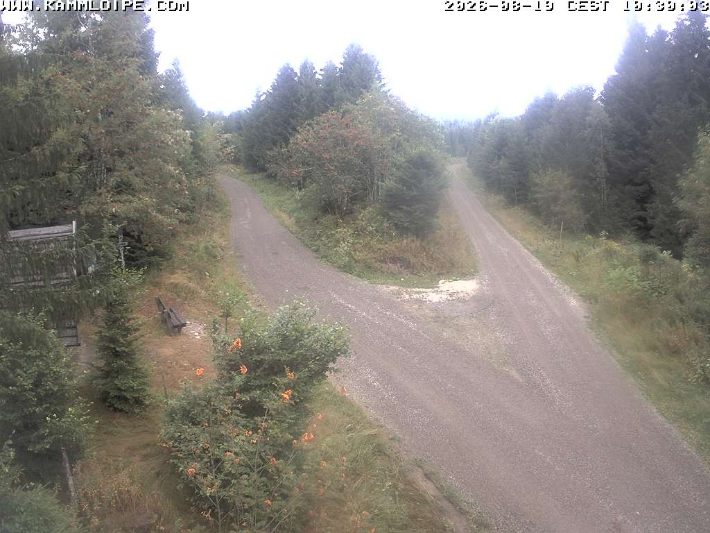 Archiv Foto Webcam Schutzhütte Teichhäusel