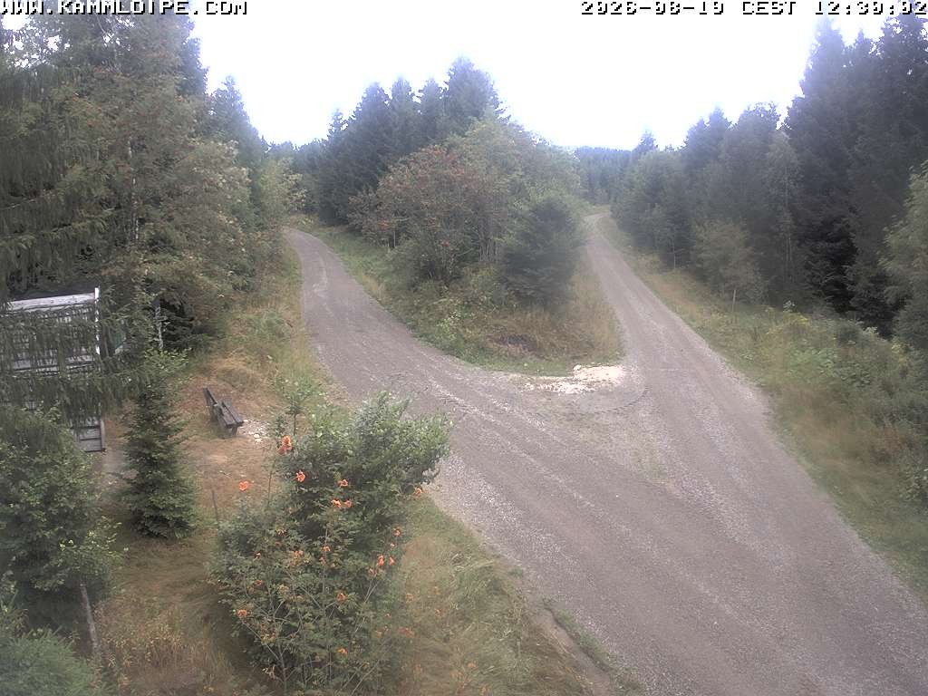 Archiv Foto Webcam Schutzhütte Teichhäusel