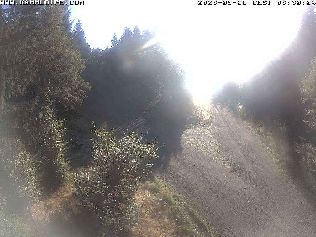 Archiv Foto Webcam Schutzhütte Teichhäusel