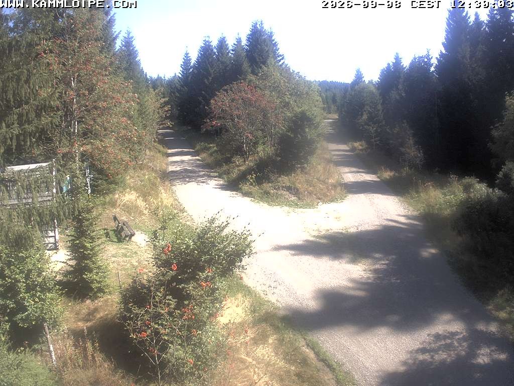 Archiv Foto Webcam Schutzhütte Teichhäusel
