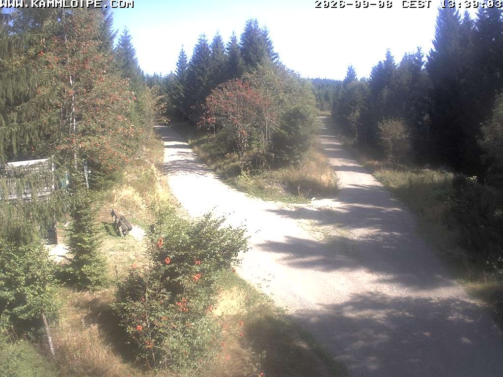 Archiv Foto Webcam Schutzhütte Teichhäusel