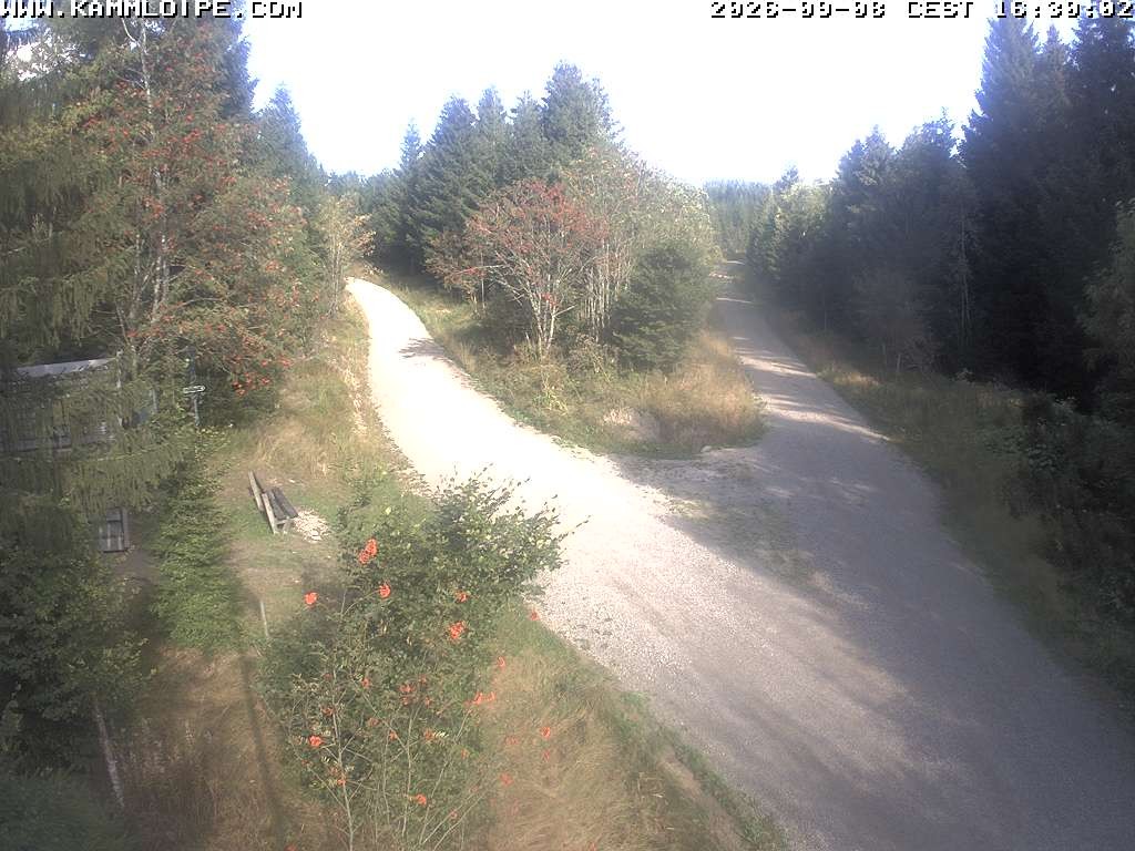 Archiv Foto Webcam Schutzhütte Teichhäusel