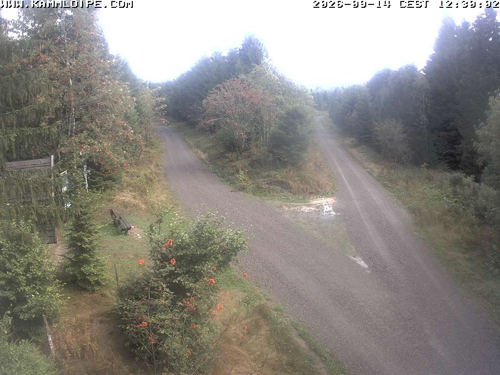 Archiv Foto Webcam Schutzhütte Teichhäusel
